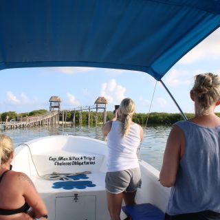 From Holbox: Private Speedboat Cruise with Lagoon Swim