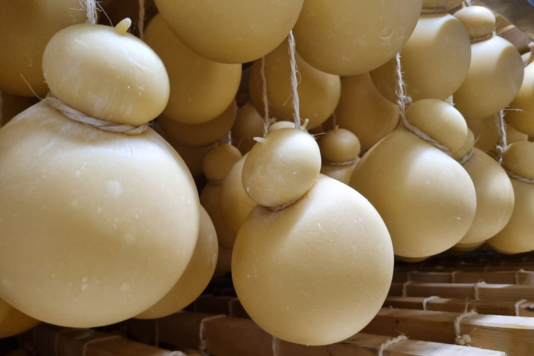 e-bike ring tour between Locorotondo and Martina Franca e-bike tour Locorotondo, Martina Franca and visit to a dairy