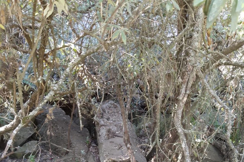 Day Trip: Hells Gate and optional Boat Ride at Lake Naivasha Hells Gate and Boat Ride at Lake Naivasha without entry fee