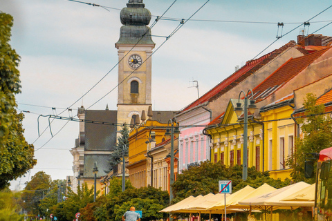 From Belgrade: Private Full-day Novi Sad & Sremski Karlovci Full-Day Private Tour