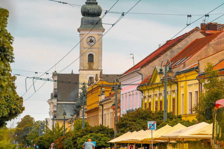From Belgrade: Private Full-day Novi Sad & Sremski Karlovci Full-Day Private Tour