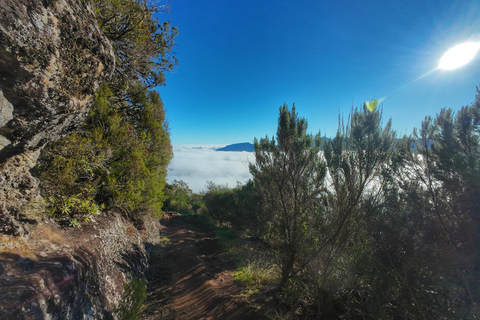 Madeira: PR17 Bica da Cana Encumeada Guided Hike with Pickup Madeira: Bica da Cana to Encumeada Guided Hike with Pickup