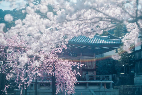 Kyoto, Gion & Nara: Culture & Heritage Full-Day Tour Trip from Osaka 8:40AM