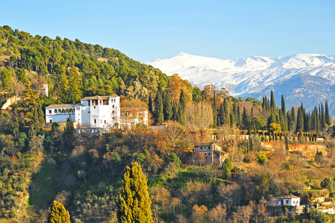 Granada Excursion: Albayzín and Sacromonte Tour from Estepona and Marbella