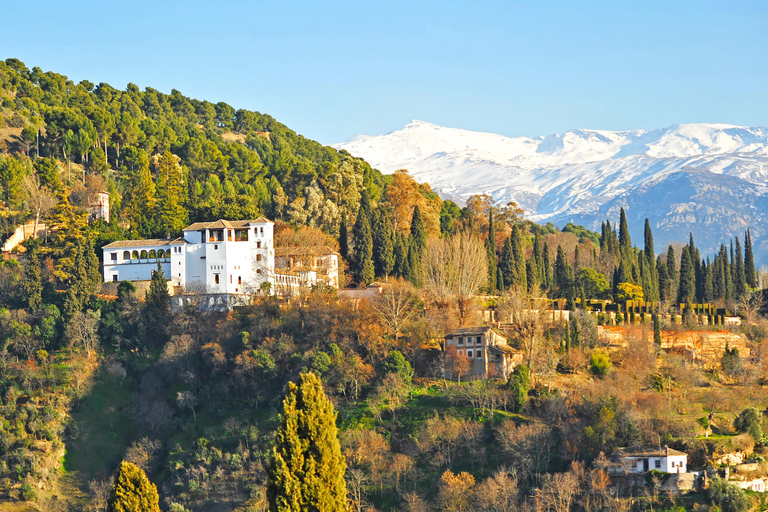 Granada Excursion: Albayzín and Sacromonte Tour from Estepona and Marbella