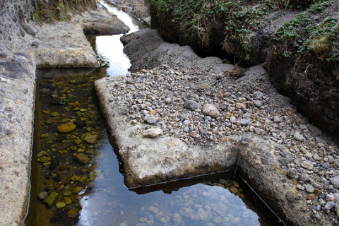 From Cajamarca: Guided visit to the "Cumbemayo" Stone Forest + pickup In English