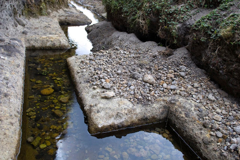 From Cajamarca: Guided visit to the "Cumbemayo" Stone Forest + pickup In English