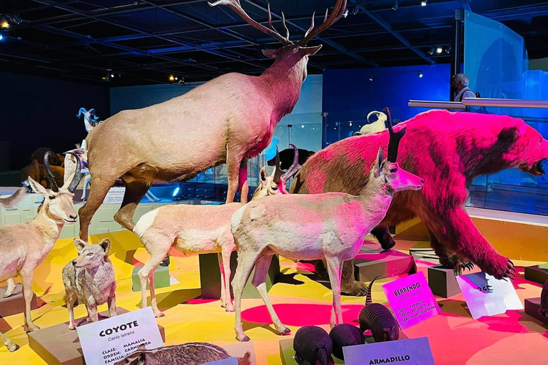 TOUR: "Dinosaur museum" with guide, transfer and tickets Monterrey: Desert Museum Tour