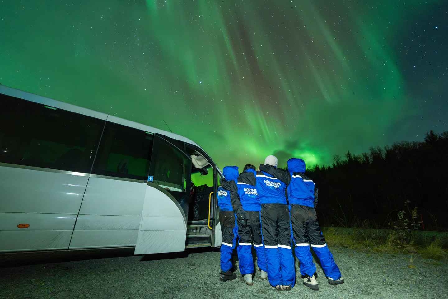 Tromsø: Aurora Borealis, Campfire, Hot Meal, Arctic Tour