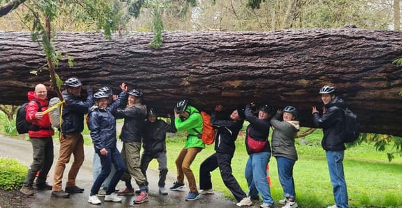 Vancouver: Stadtführung mit dem Fahrrad | E-Bike Upgrade verfügbar. | 4-Stunden