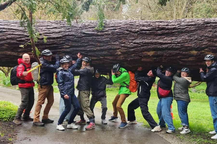 Vancouver: Stadtführung mit dem Fahrrad | E-Bike Upgrade verfügbar. | 4-Stunden. Foto: GetYourGuide