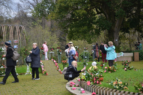 Svarta havet: Magnetic Beach och Batumi botaniska trädgård Tour