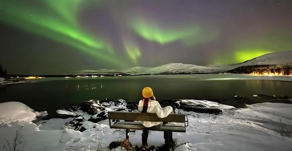 Tromsø: Northern Lights Chase with Bonfire and Snacks