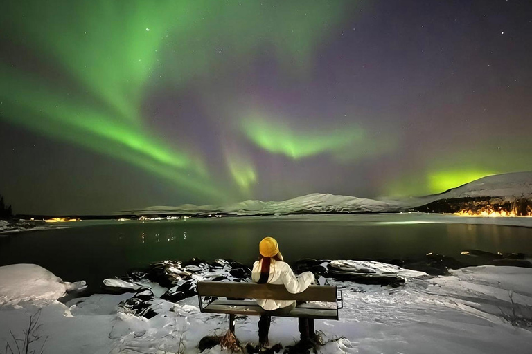 Tromsø: Arctic Experience 4-in-1 Package