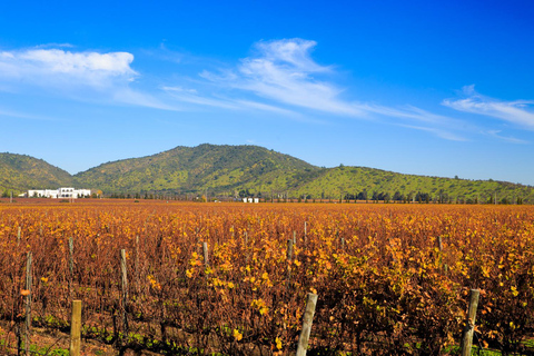 WINE TOUR - CASABLANCA VALLEY