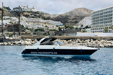 Gran Canaria: Private Yacht Cruise with Snacks & Drinks Private Yacht with Captain 3 Hours