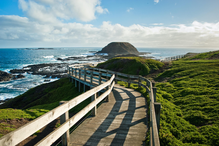 Melbourne: Coastal View & Phillip Isand Penguin Parade Tour