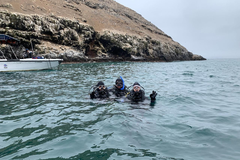 Lima : Découverte de la plongée sous-marine - Première expérience