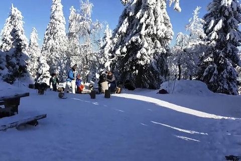 Rovaniemi: Local Guide Riisitunturi National Park Day Trip