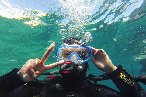 Marseille: Introduction to Scuba Diving in the Calanques National Park Marseille: Introduction to Scuba Diving at Calanques National Park