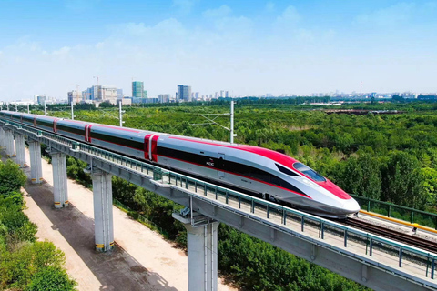 Pekín: Traslado privado a la estación de tren desde el hotel de la ciudad