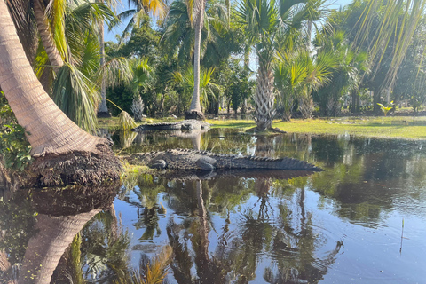 Desde Huatulco: Excursión Ecológica Cocodrilos y TortugasServicio Privado en Vehículo Avanza