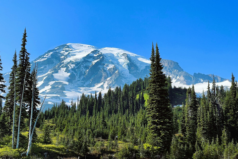 From Seattle: Customized Mount Rainier Tour