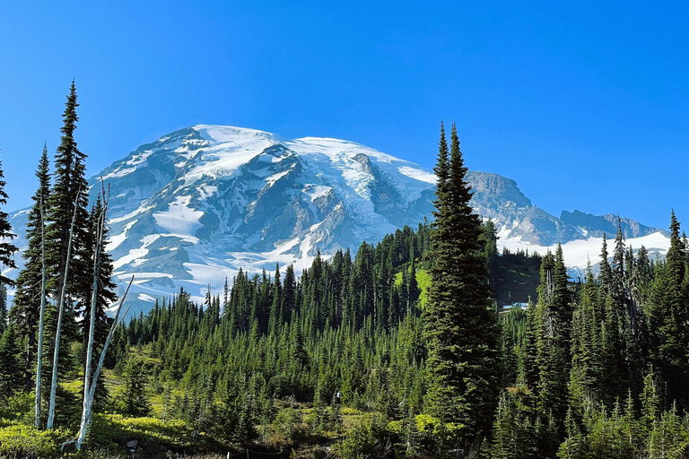 From Seattle: Customized Mount Rainier Tour