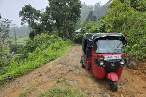 Trincomalee: 3-Day Tuk-Tuk Tour to Kandy with Tickets