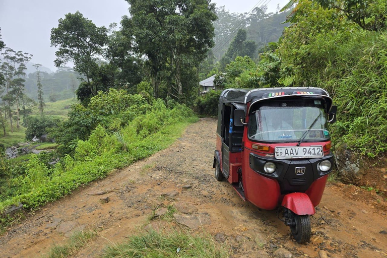Trincomalee: 3-Day Tuk-Tuk Tour to Kandy with Tickets