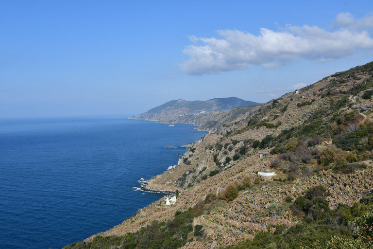 From Alanya: Gazipaşa Boat Trip to Delikdeniz & Blue Lagoon