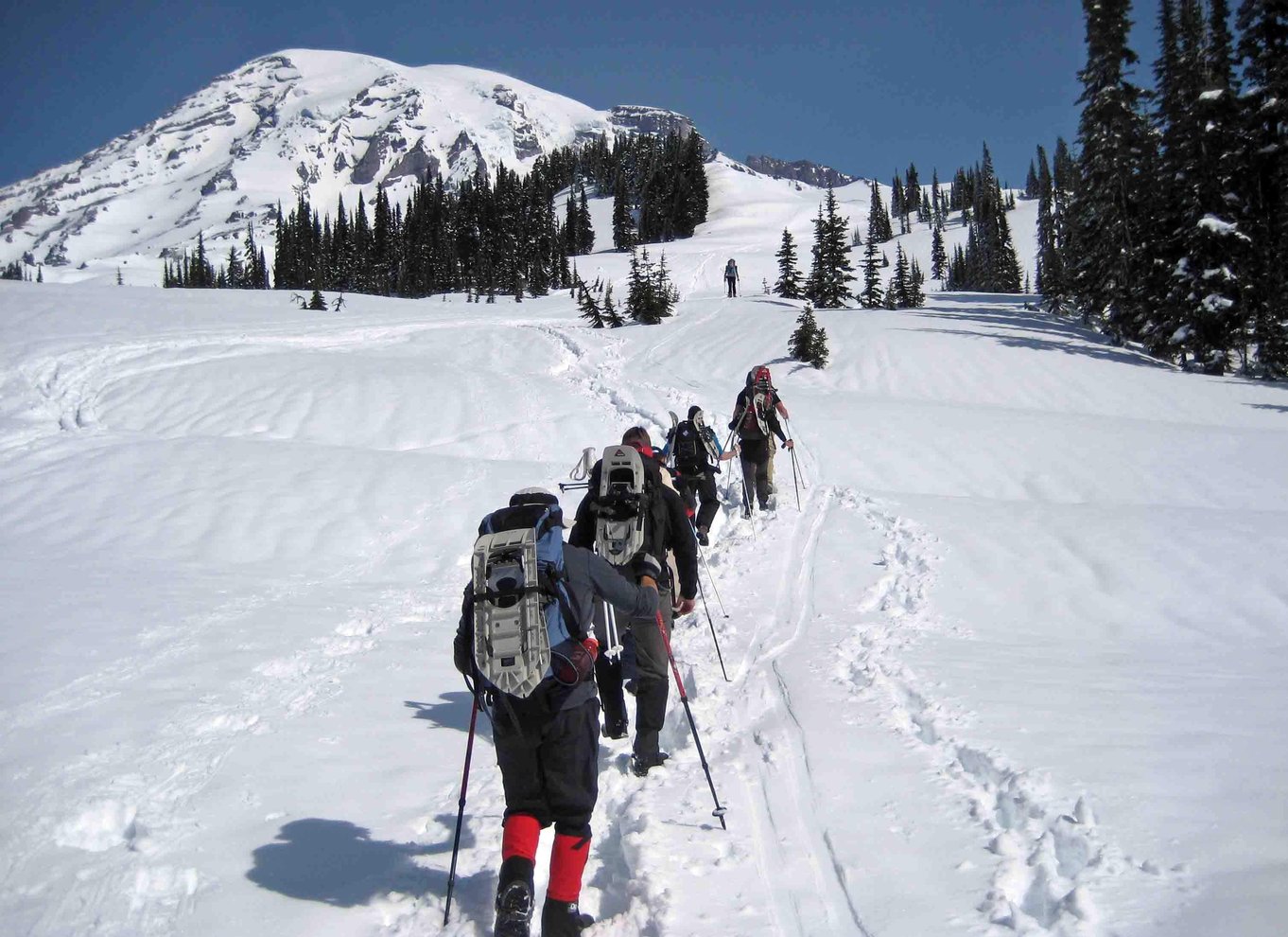 Seattle: Mount Rainier Park All-Inclusive tur med en lille gruppe