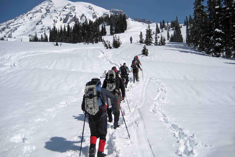 Seattle: Mount Rainier Park All-Inclusive Small Group Tour