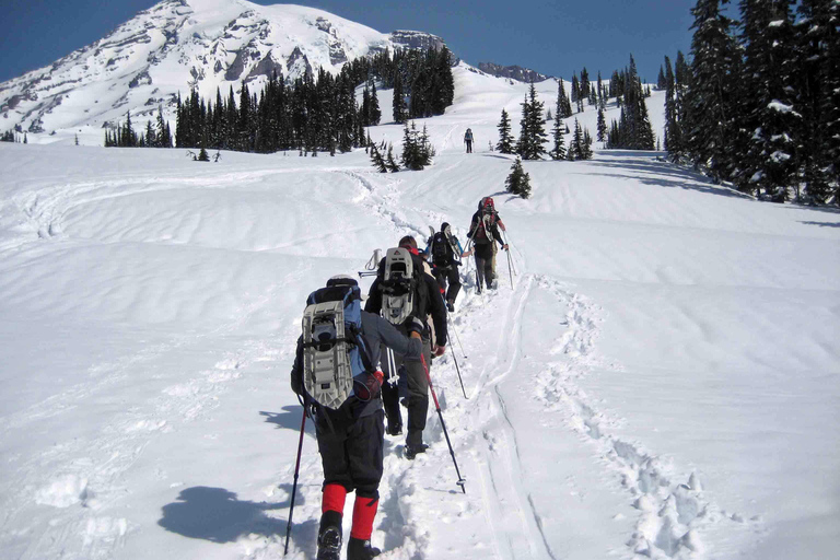 Seattle: Mount Rainier Park All-Inclusive Small Group Tour
