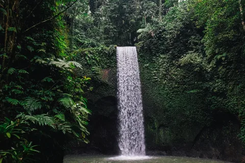 Joias ocultas de Ubud: Passeio pela cachoeira