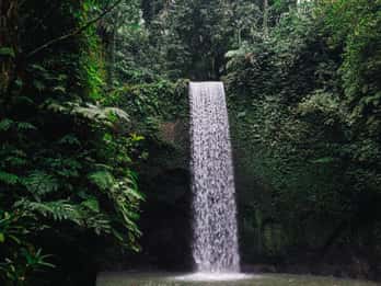 Ubud Hidden Gems: Wasserfall Tour