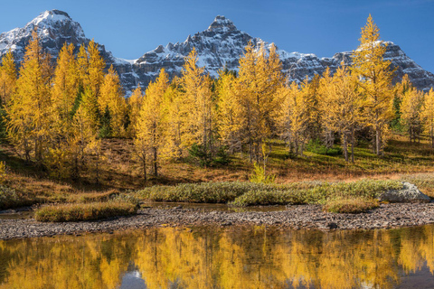 Banff/Canmore: Larch Valley och Moraine Lake