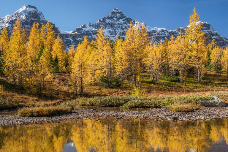 Banff/Canmore: Larch Valley och Moraine Lake