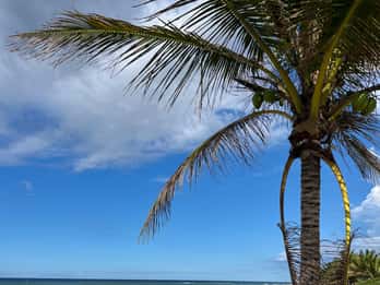 San Juan : plage de Los Tubos, Hacienda Esperanza, etc.