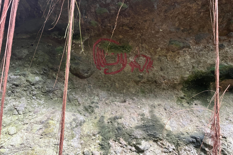 St Kitts: Bloody Point River Hike Petroglyphs+Bat Cave