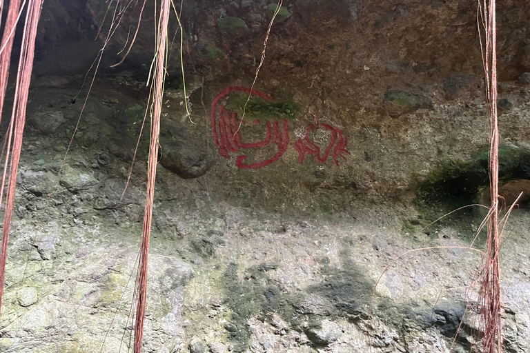 St Kitts: Bloody Point River Hike Petroglyphs+Bat Cave