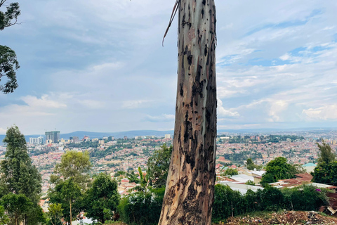 Kigali: Genocide Memorial, Market, and City Tour