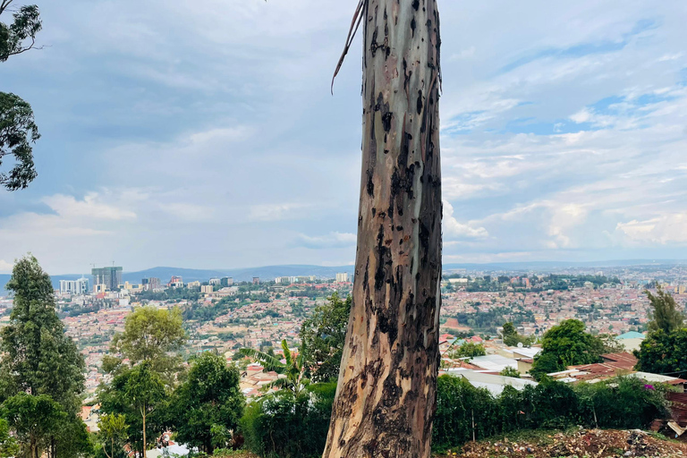 Kigali: Genocide Memorial, Market, and City Tour