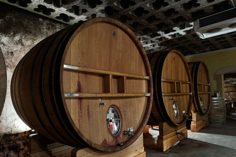 Châteauneuf-du-Pape: Full-day wine tour with sommelier