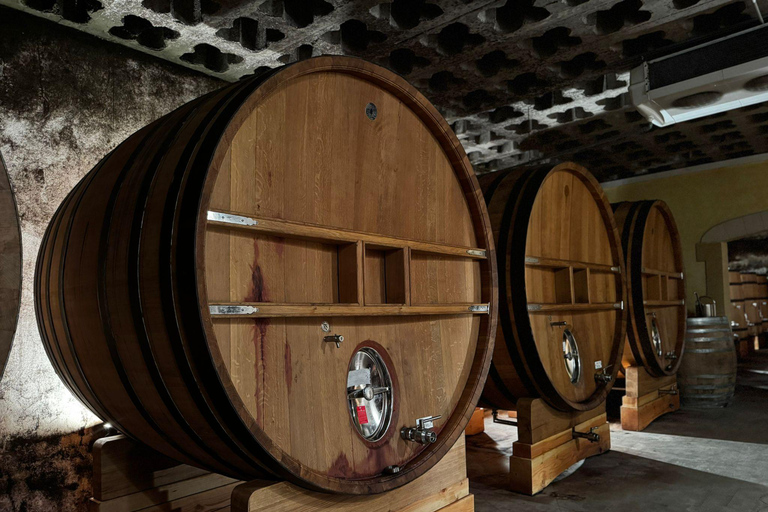 Châteauneuf-du-Pape: Full-day wine tour with sommelier
