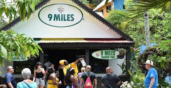 From Montego Bay: Nine Mile Reggae Journey with Island Lunch