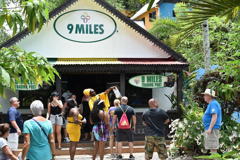 From Montego Bay: Nine Mile Reggae Journey with Island Lunch