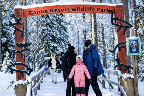 Rovaniemi: Ranua Wildlife Park, Polar Bears & Arctic Animals ⭐ Ranua Highlights | 4h | Polar Bears | Most Popular