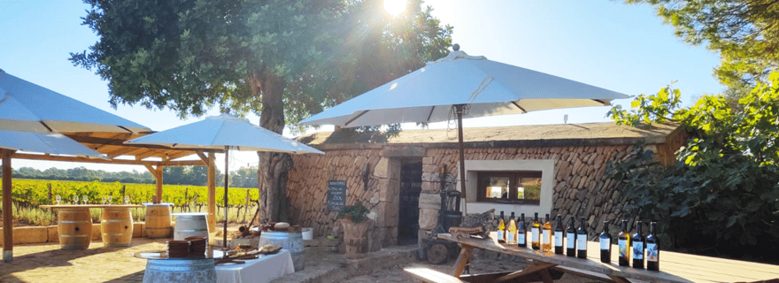 Moments œnologiques avec vue sur la terrasse de Bodegas Bordoy