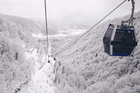 Baku: Gabala, Gobustan, and Shamakhi Day Trip with Lunch